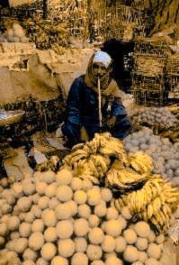 Deuteranope image of Daltnized market stall