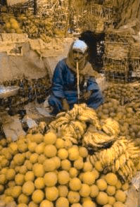 deuternaope image of market stall