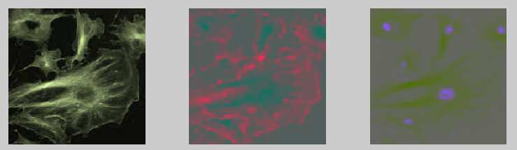 Split into opponent dimensions